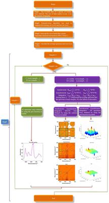 Application of spectral image processing with different dimensions combined with large-screen visualization in the identification of boletes species